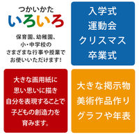 日本ノート ジャンボ画用紙 ロールタイプ 45cm幅（10m巻） KE10M45 1個