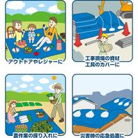 フローバル ブルーシート 厚手#3000 4.5×4.5 PBS3-4.5×4.5 1枚