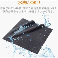 エレコム テレビ用クリーナー/クロス/静電気抑制/強力 AVD-TVCCAS01 1個