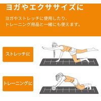 エレコム エクリアスポーツ/ガイドライン付トレーニングマット/ブラック HCF-YM08BK 1個