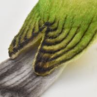 【ぬいぐるみ】 HANSA ハンサ 7246 メジロ13 7246（直送品）