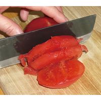 竹内快速鋸 「ダイヤモンド包丁研ぎ器」竹内英治 a15261 1個