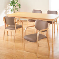 アイリスチトセ　福祉用イス　ナチュラル／ブラウン　1脚（わけあり品）