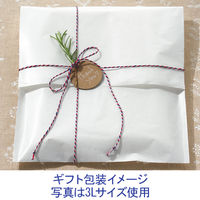 マルシェバッグ　筋入りクラフト紙ホワイト　S　1袋（200枚入）　今村紙工　【紙袋】