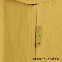 エイ・アイ・エス 現代風仏壇 蒼天（そら） 幅480×奥行320×高さ575mm ダークブラウン BUDH-101 DBR 1台（直送品）