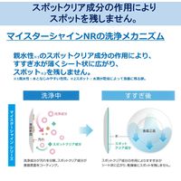 ライオンハイジーン マイスターシャインリキッドNR 13kg 325921 1箱(1個入)