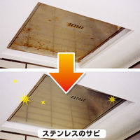 カンペハピオ 復活洗浄剤 ステンレス用 1L #00017660031010 1個