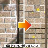 カンペハピオ 復活洗浄剤 エフロ用 1L #00017660061010 1個