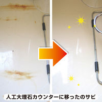 カンペハピオ 復活洗浄剤 サビ取り用 80G #00017660084080 1個