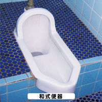 カンペハピオ 復活洗浄剤 トイレ陶器クリーナー 100ML #00017660132100 1個