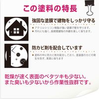 水性シリコン外かべ用 つや消しアイボリー 14L #00427652991140 カンペハピオ（直送品）