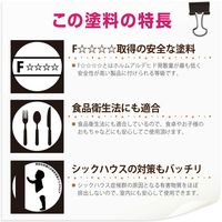 カンペハピオ 水性ステイン+ 新チーク 300ML #00727653642300 1個