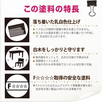 水性白木用ニスA つやけしとうめい 100ML #00737653732100 カンペハピオ（直送品）