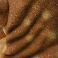 【ぬいぐるみ】HANSA ハンサ 7744 ハンドパペットムッタブラサウルス40 7744（直送品）