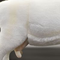 【ぬいぐるみ】HANSA ハンサ 4152 シロヤギ 48 4152（直送品）