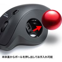 サンワサプライ トラックボール 親指 エルゴノミクス形状 静音スイッチ 有線 MA-TB128BK 1個