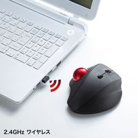 ワイヤレスマウス　無線　静音　3ボタン　大型サイズ　光学式　MA-WTB129BK　サンワサプライ　1個（直送品）