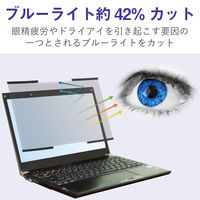 プライバシーフィルター 15.6W型 吸着 ナノサクション のぞき見防止 セキュリティ 液晶保護 EF-PFNS156W エレコム 1個（直送品）