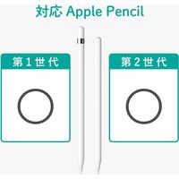 エレコム アップルペンシル専用/メタルクリップ/シルバー TB-APECPMSV 1個