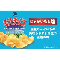 Largeサイズ ポテトチップス じゃがいもと塩 6袋 湖池屋 スナック菓子 おつまみ