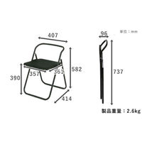 SANKEI GARDE STUDIO 折りたたみイス エールN ブラック NT-FC-22061(ヌード) 1脚（直送品）