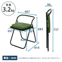 SANKEI GARDE STUDIO 折りたたみイス エールC 座厚張りクッション付 グリーン NT-FC-22062(座付き) 1脚（直送品）