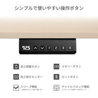 【軒先渡し】アスカ電動昇降デスク メモリー付 1200mm 黒×木目EDK12BK1台（直送品）