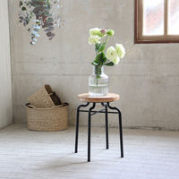 スパイス ジェネラス スツール ADFT1040 1個（直送品）