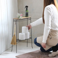 スパイス ジョセフアイアン すき間ラック DTFF2300 1個（直送品）