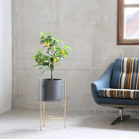 スパイス ゴールドアイアンスタンド付きポット Sサイズ TJXT1141 1個（直送品）