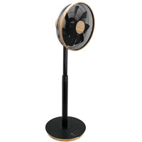 エスケイジャパン リビング扇　DCフルリモコン式　羽根径30cm　7枚羽根 SKJ-KT30FSF(DM) 1台（直送品）