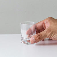 石塚硝子 エクセルWウイスキー 4963972313263 1セット(1個×24)