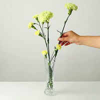 アデリア 一輪挿し（Ｓ）●セット：6個 4963972700636 1セット（6個入）（直送品）