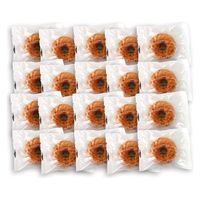 アデリー 【20個セット】果実のミニョンドクグロフ　クランベリー単品 10222900-20（直送品）