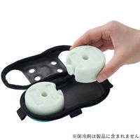 氷点下パック・クールスマイル（ダブル） 81336790 1個 LOGOS/ロゴス