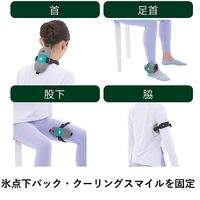 氷点下パック・クールスマイルベルト 81336799 1個 LOGOS/ロゴス