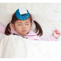 東京企画販売 アイスバッグ(小)400cc 099684 1個