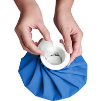 東京企画販売 アイスバッグ(大)1000cc 099677 1個