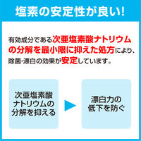 【在庫一掃セール】【旧パッケージ】ナイス キッチン漂白剤 厨房用除菌漂白剤 5kg 1個