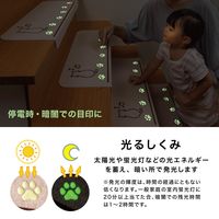 サンコー おくだけ吸着 蓄光 階段マット ネコ KX-46 ずれない 洗える 日本製 猫 床暖房対応 55×21cm 15枚入（直送品）