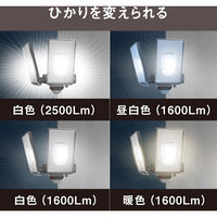 ムサシ LED-AC2050 12.5W×2灯 LEDセンサーライト 1個