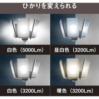 ムサシ 12.5W×4灯 LEDセンサーライト LED-AC4000 1個