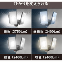 ムサシ 12.5W×3灯 LEDセンサーライト LED-AC3050 1個