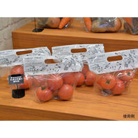 パックスタイル 青果用袋 PS チャック付スタンド袋S MS白 CH2621 527942 1袋(50個)（直送品）