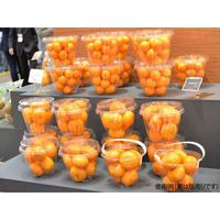 パックスタイル 麺・スープ容器 33ozサラダ 本体 534555 1袋(50個)（直送品）