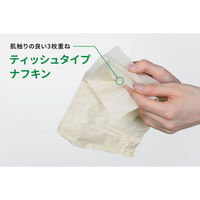 パックスタイル 紙ナフキン BBソフトナフキン 300枚/100組 617496 1袋(1個)（直送品）