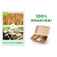 パックスタイル バガス容器 WBランチ 180-130 ラミ 00686419 1袋(50個)