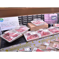 パックスタイル バガス容器 WB 14-14 604002 1袋(50個)（直送品）