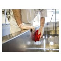 ヴァイカン ブラシ ハンドブラシ(ハード) レッド 38904 1個（直送品）