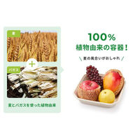 パックスタイル バガス容器 WBフルーツ 2L 615417 1袋(50個)（直送品）